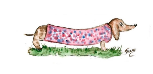 Dachshund Lulu