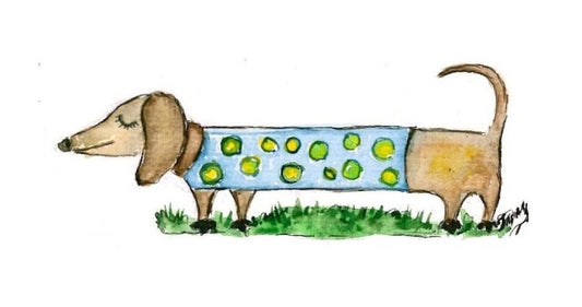 Dachshund Leni