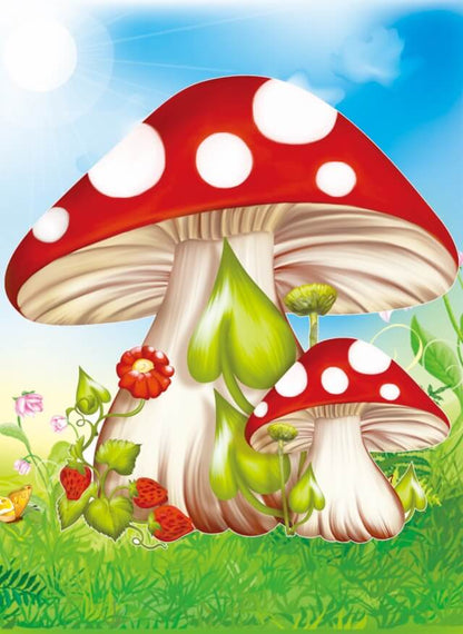 Fly agaric mushrooms